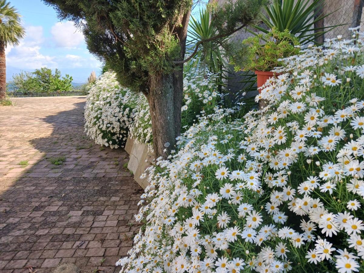 Agriturismo Vemi Βίλα Santa Sofia d'Epiro Εξωτερικό φωτογραφία