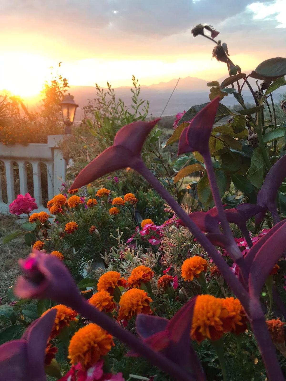 Agriturismo Vemi Βίλα Santa Sofia d'Epiro Εξωτερικό φωτογραφία